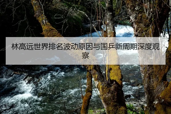 林高远世界排名波动原因与国乒新周期深度观察